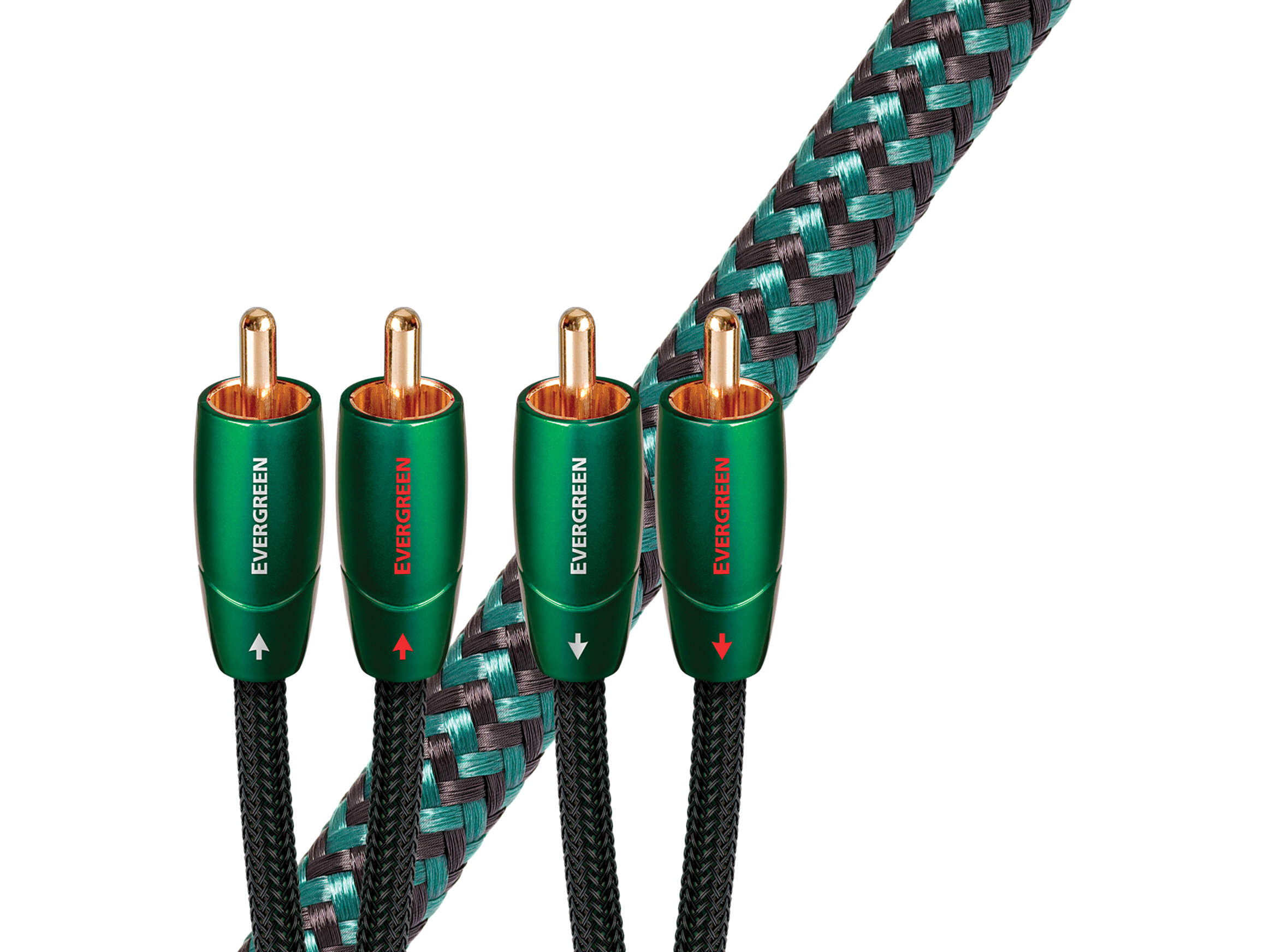 Evergreen RCA, 1.50 m