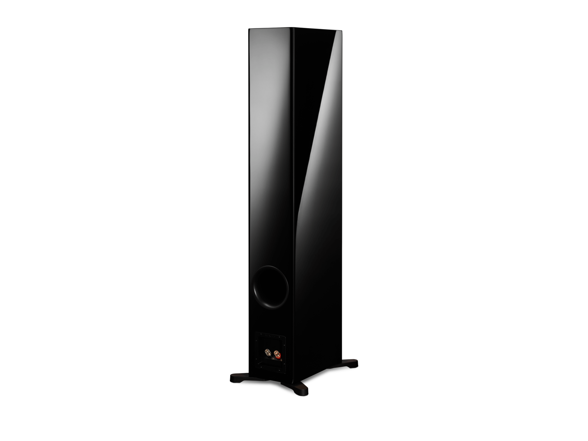 Evoke 50