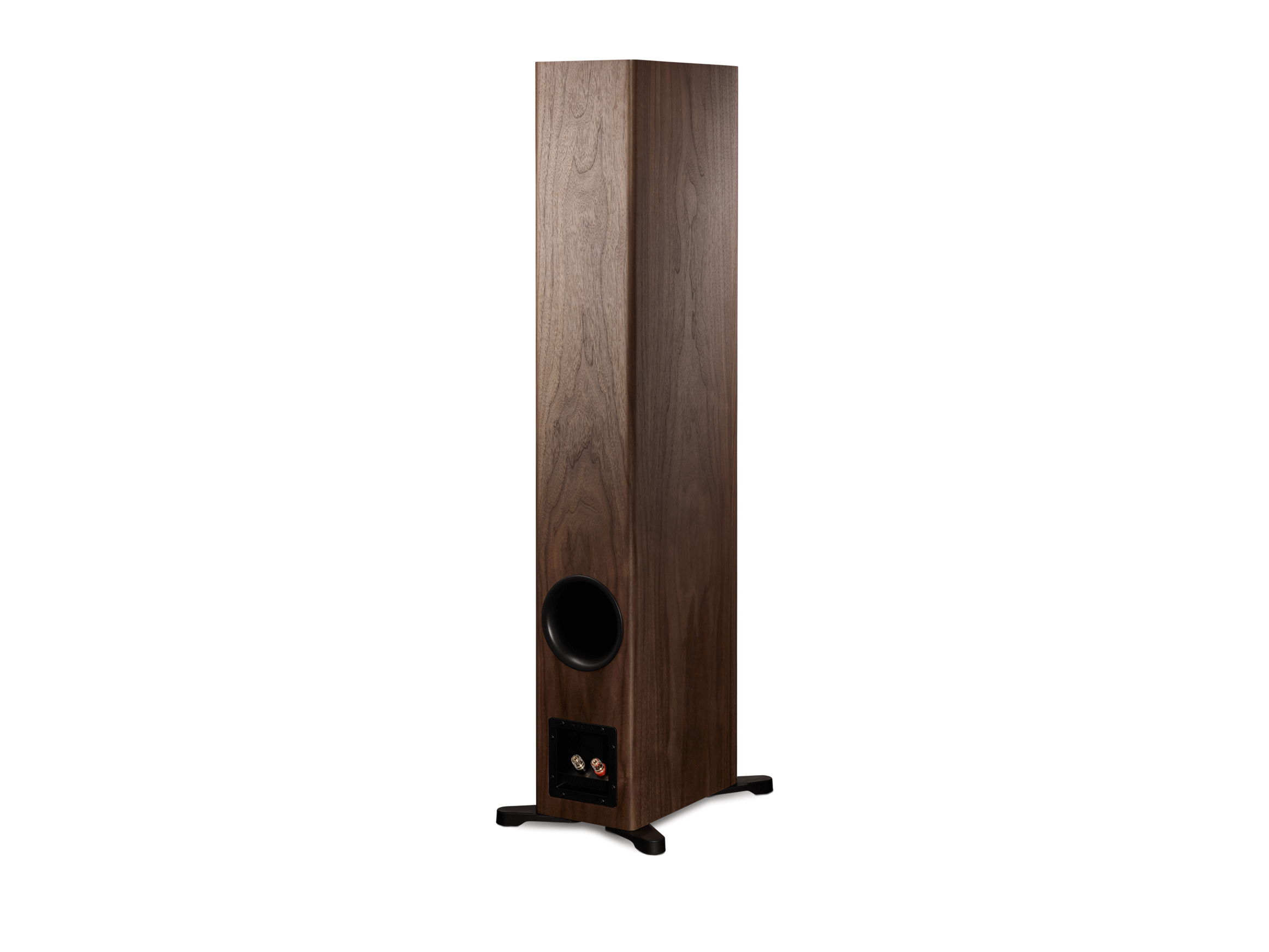 Evoke 50