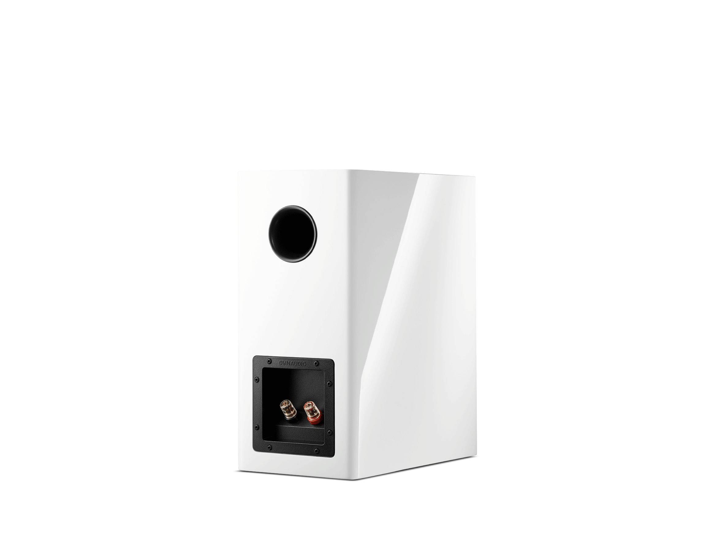 Evoke 20
