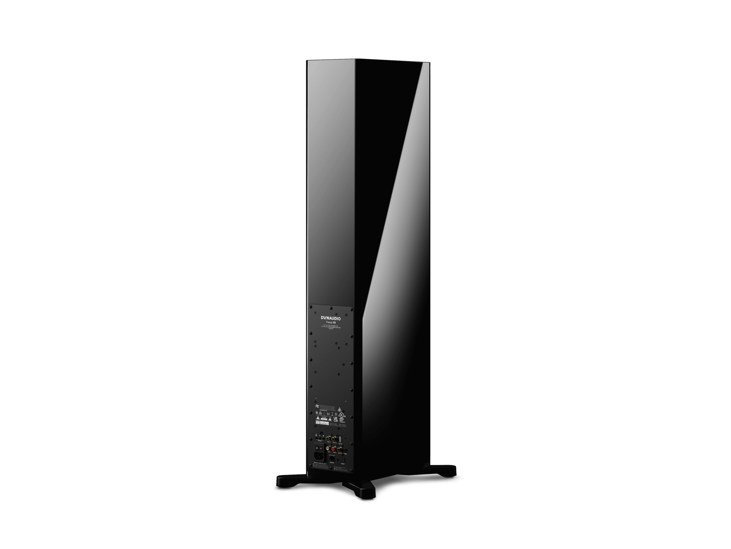 Focus 30, Schwarz