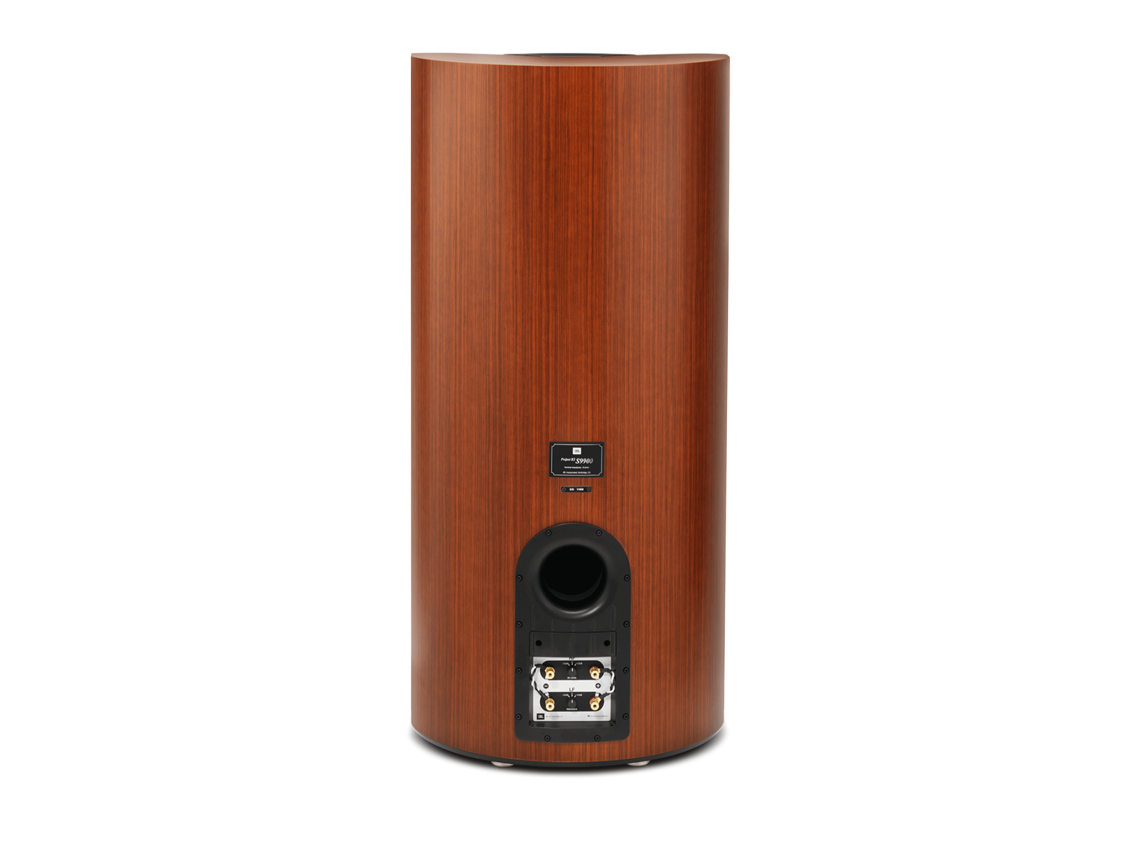 Project K2 S9900