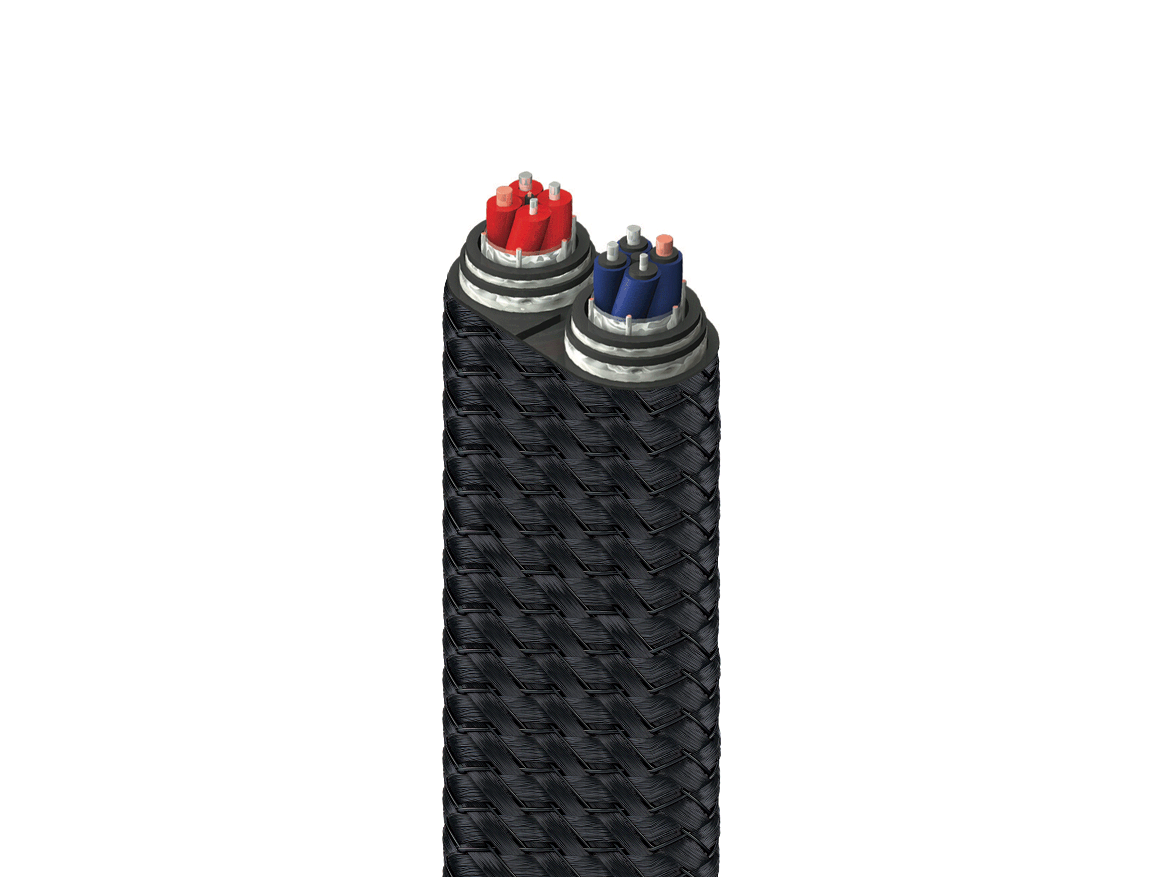 Dragon Zero, 4.00 m / Bananenstecker