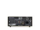 PST-10, Gold