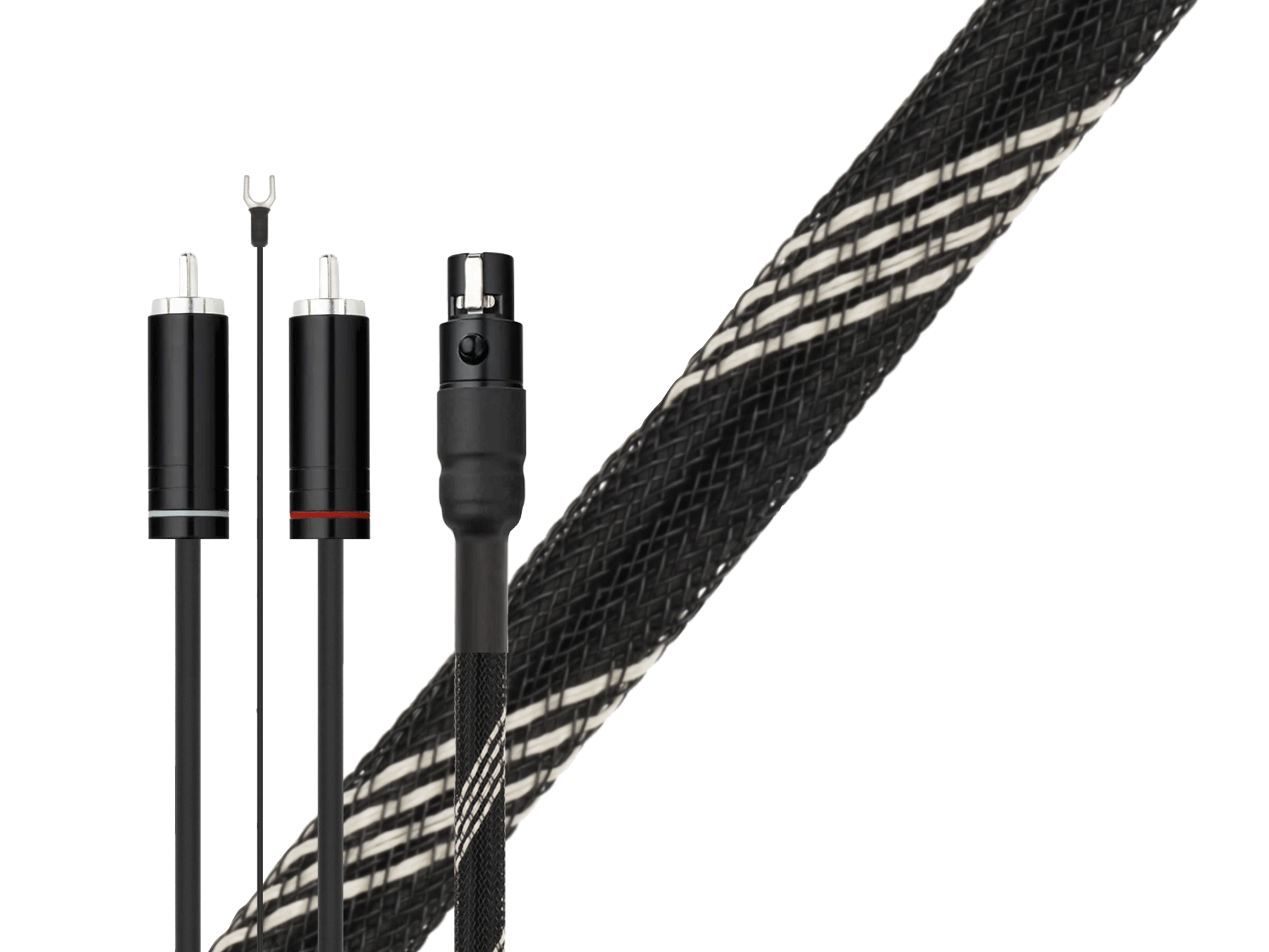 Connect it Phono DS Balanced, RCA &rarr; mini XLR