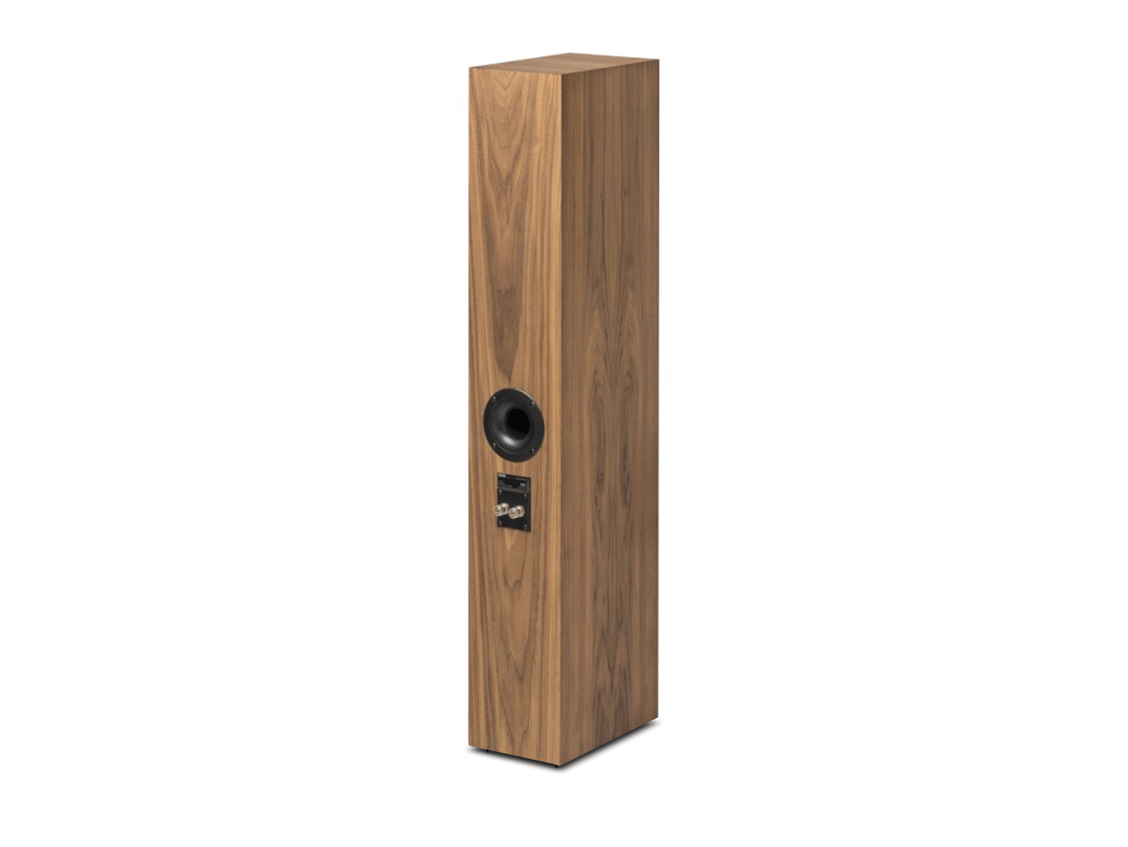 Speaker Box 15 DS2, Walnuss