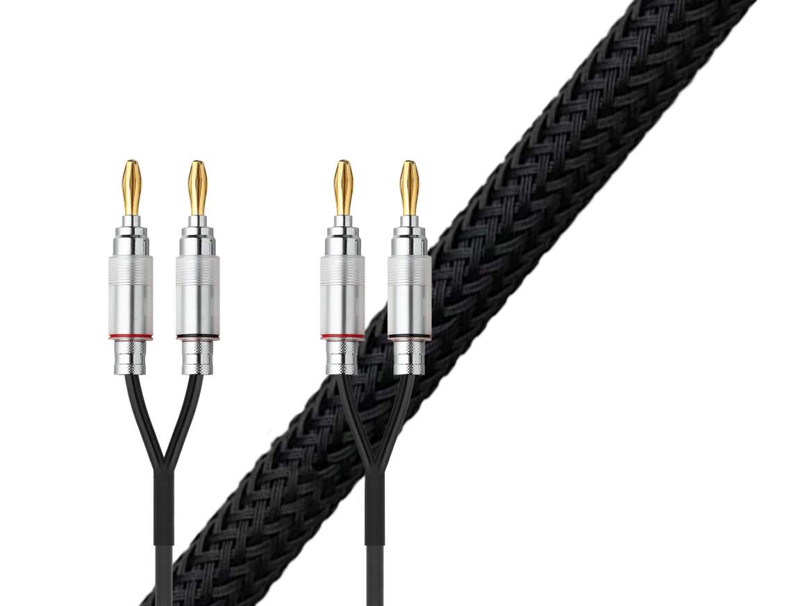 Pro-Ject Connect it LS S
