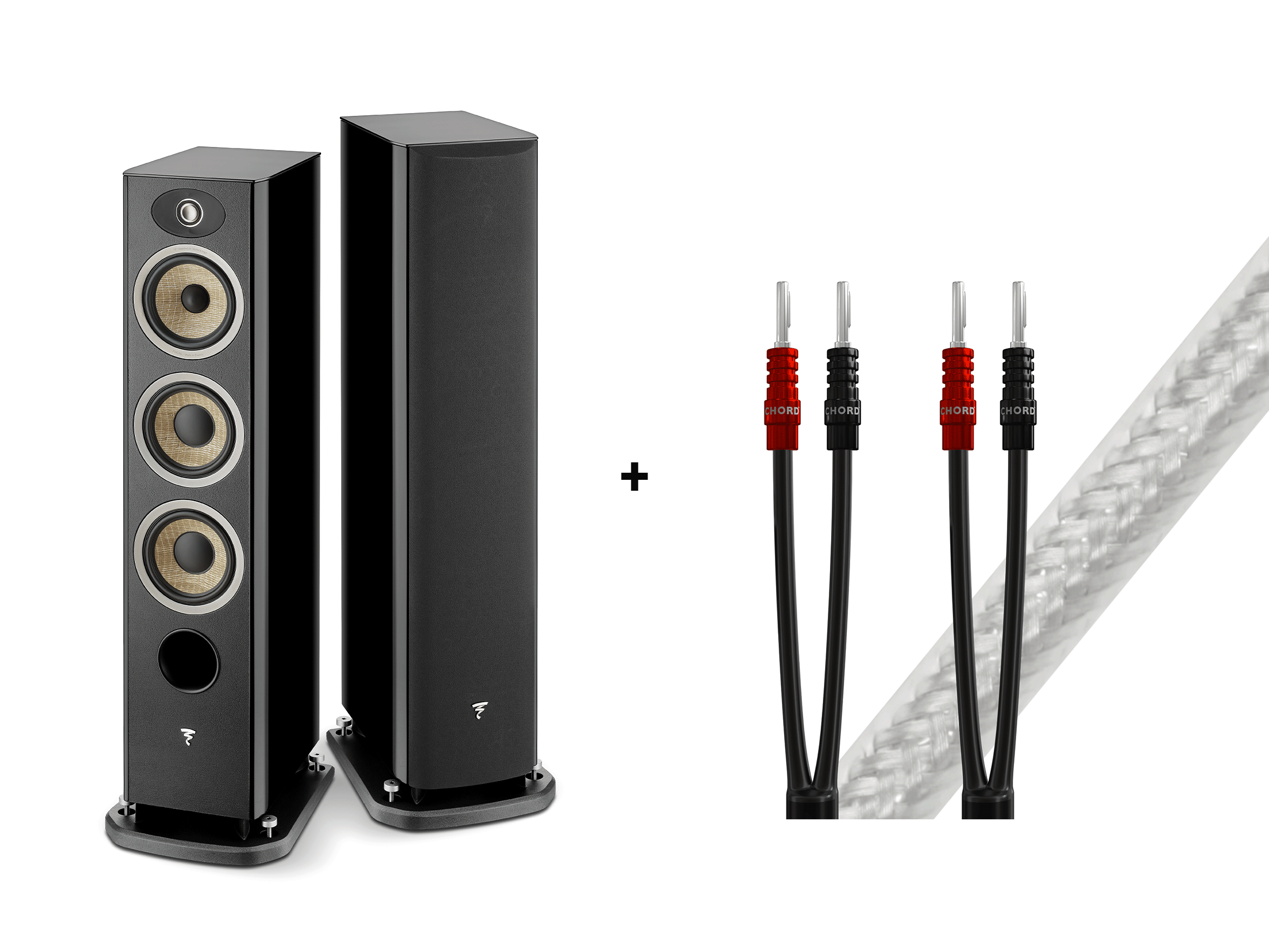 Aria Evo X No. 2 mit GRATIS Chord Company ShawlineX LS