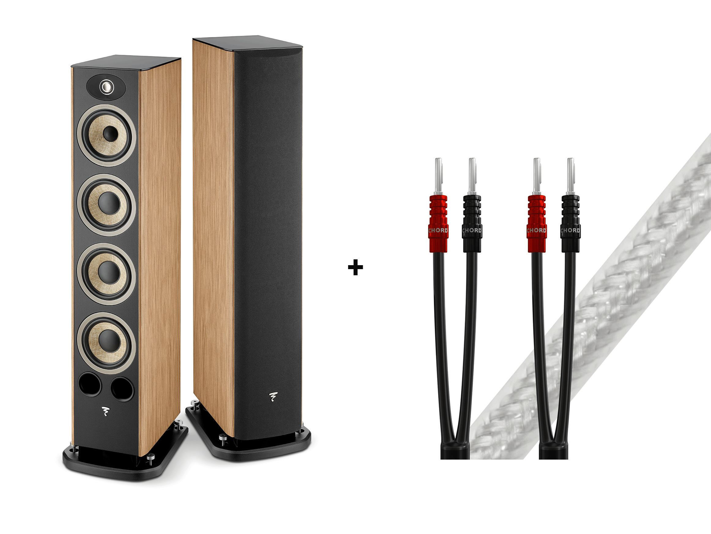 Aria Evo X No. 3 mit GRATIS Chord Company ShawlineX LS