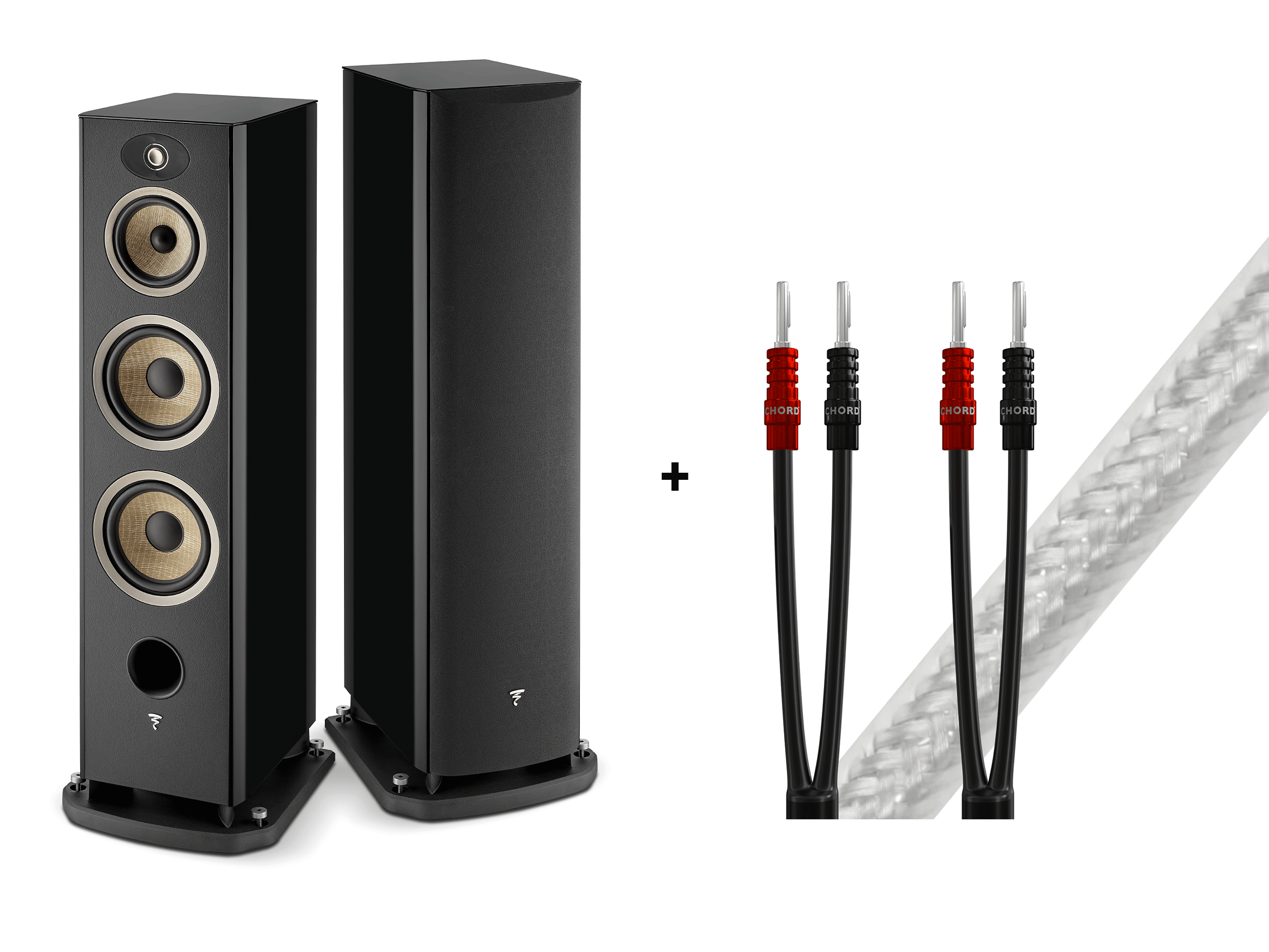 Aria Evo X No. 4 mit GRATIS Chord Company ShawlineX LS