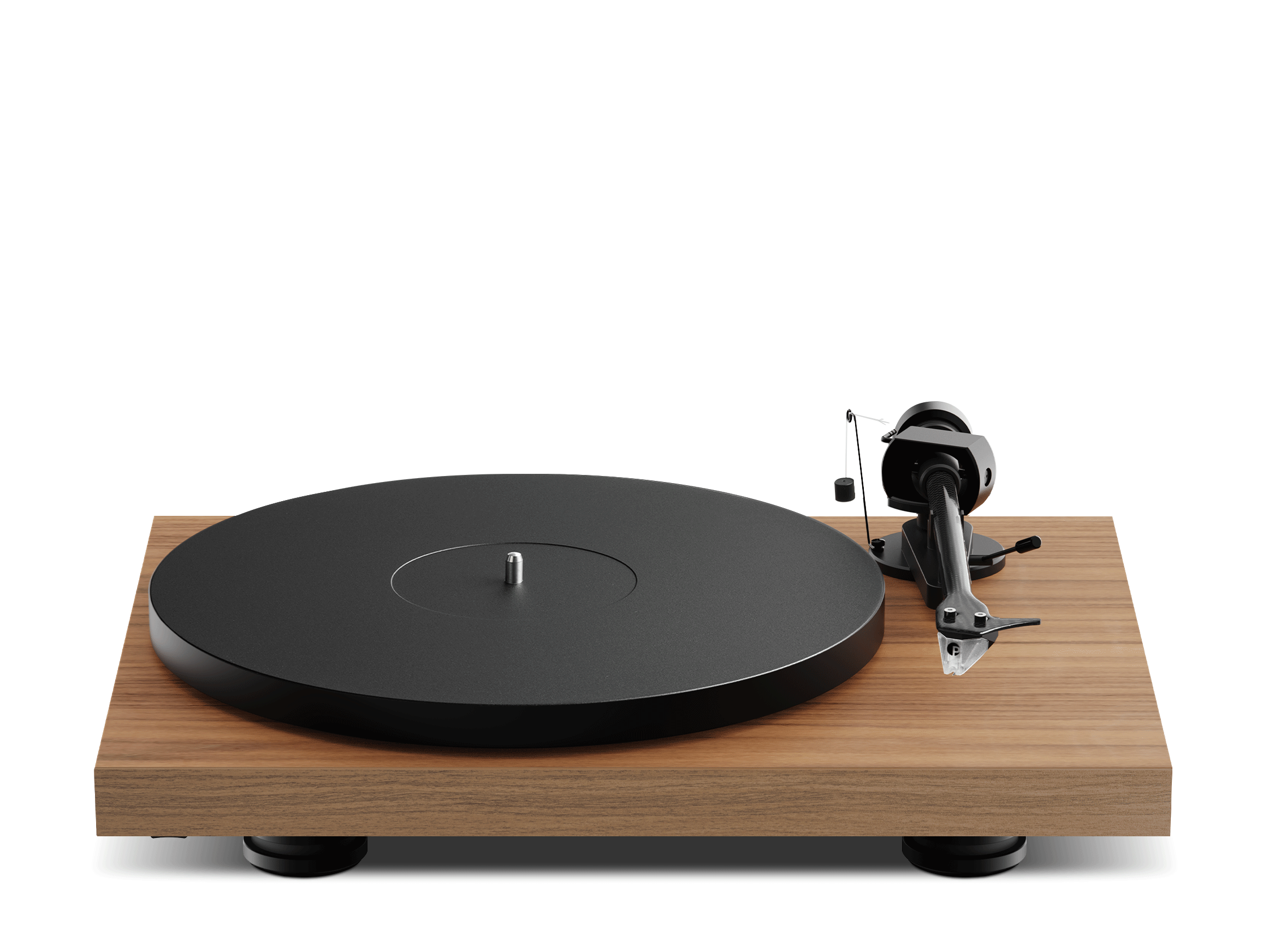 Debut EVO 2, Walnuss