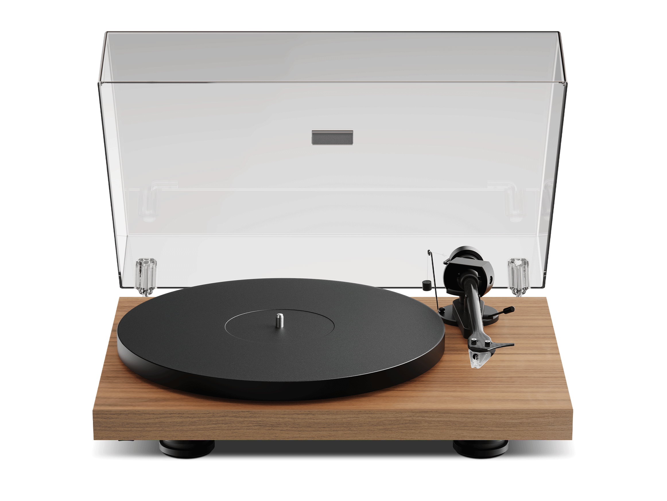 Debut EVO 2, Walnuss