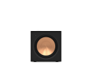 Zum Artikel Klipsch R-101SW gehen