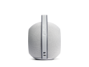 Mania Light, Grey