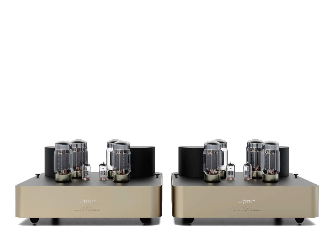 Fezz Olympia Mono Power Amplifier