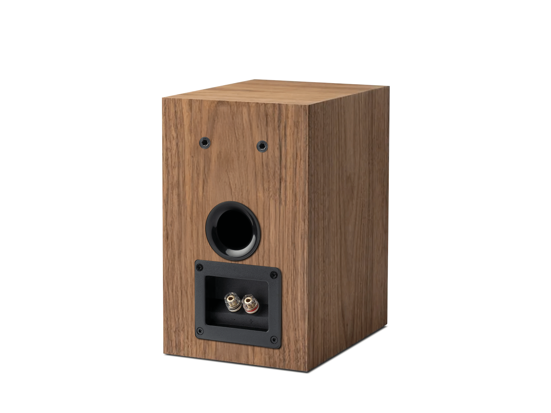 Speaker Box 5 E Carbon