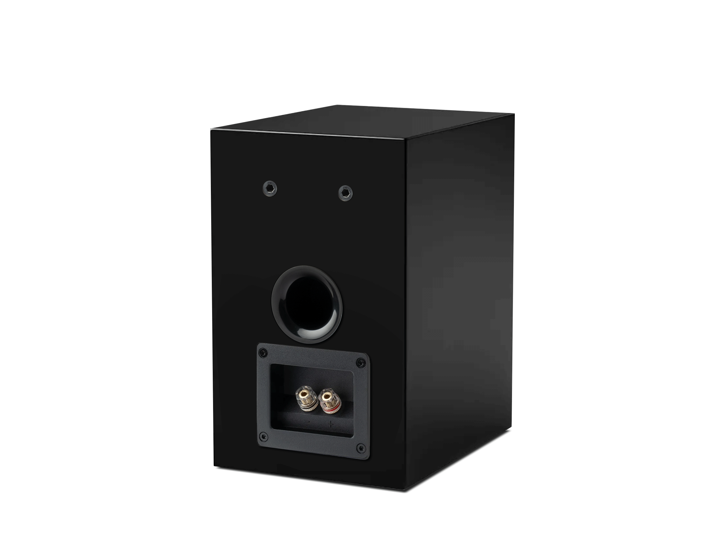 Speaker Box 5 E Carbon