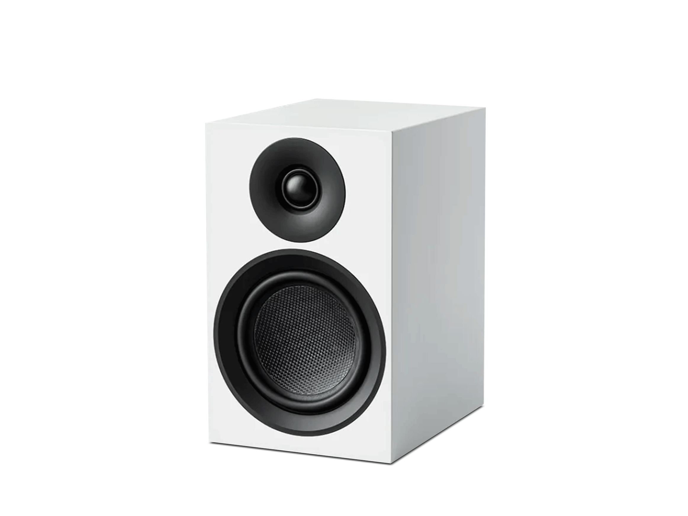 Speaker Box 5 E Carbon