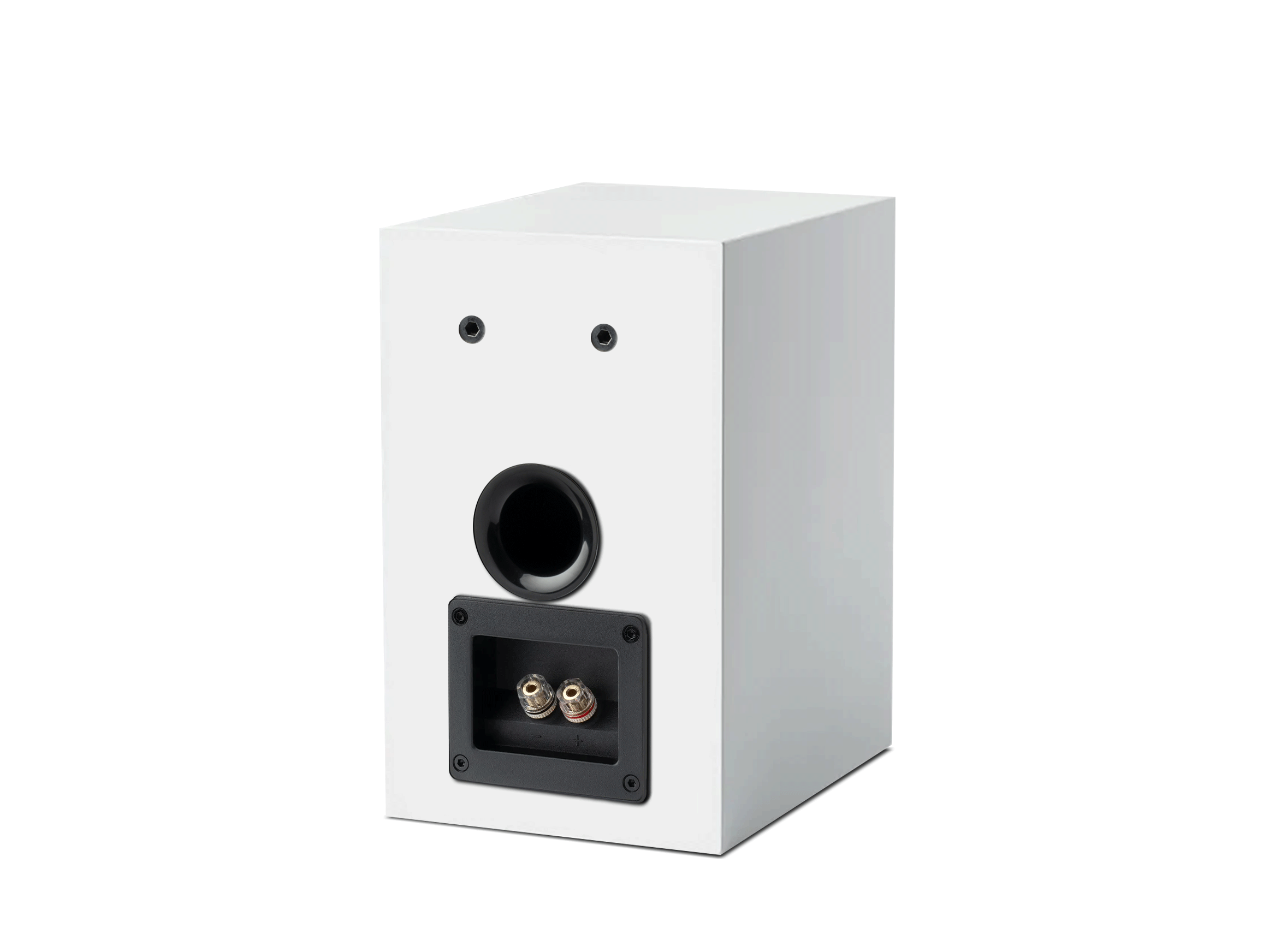 Speaker Box 5 E Carbon
