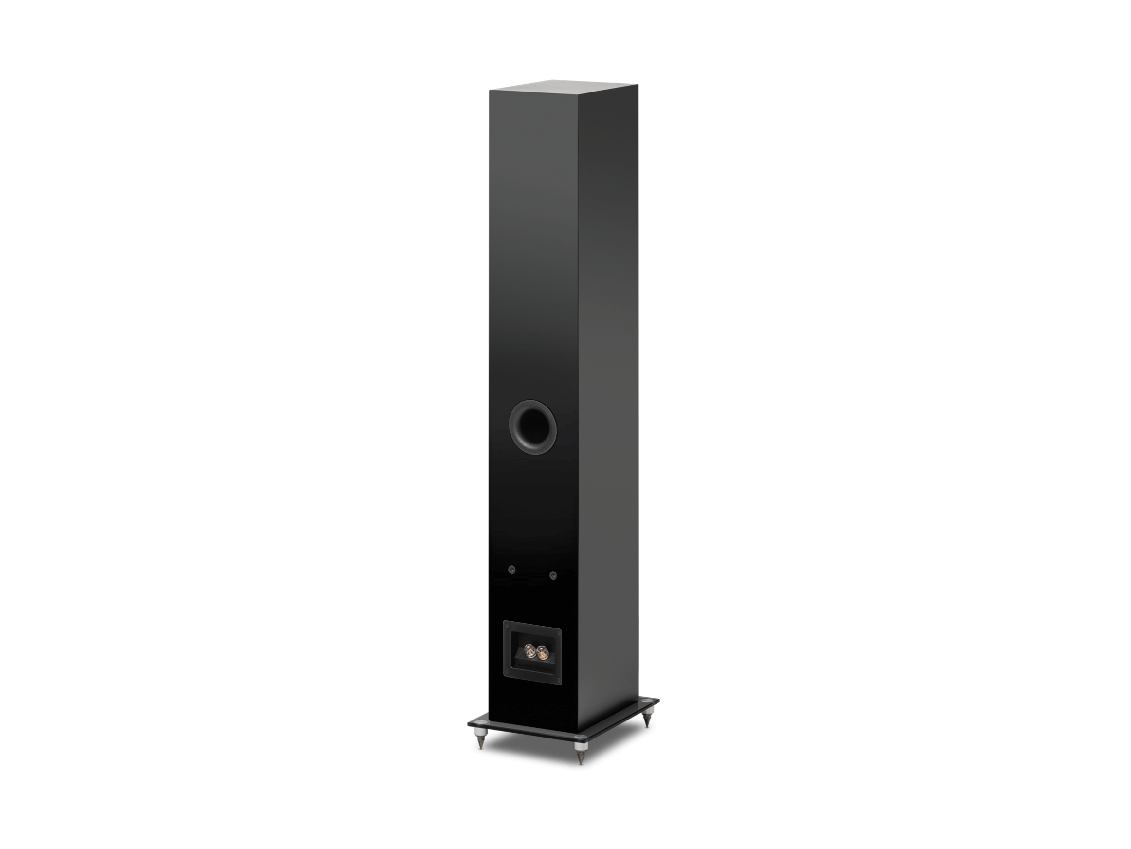 Speaker Box 10 E Carbon