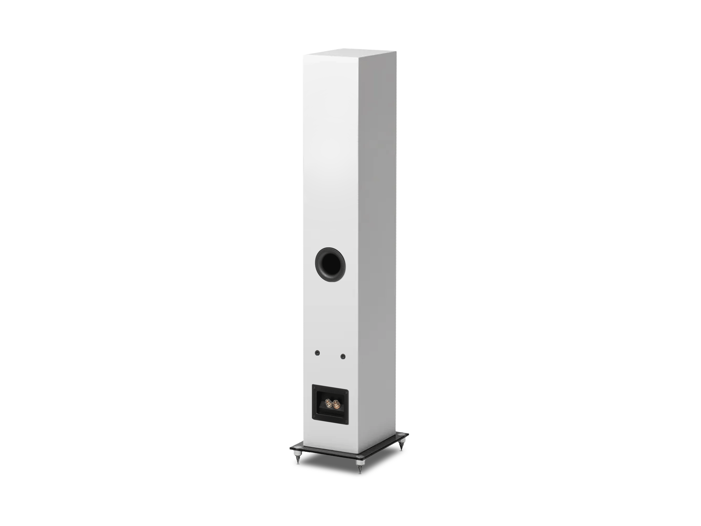 Speaker Box 10 E Carbon