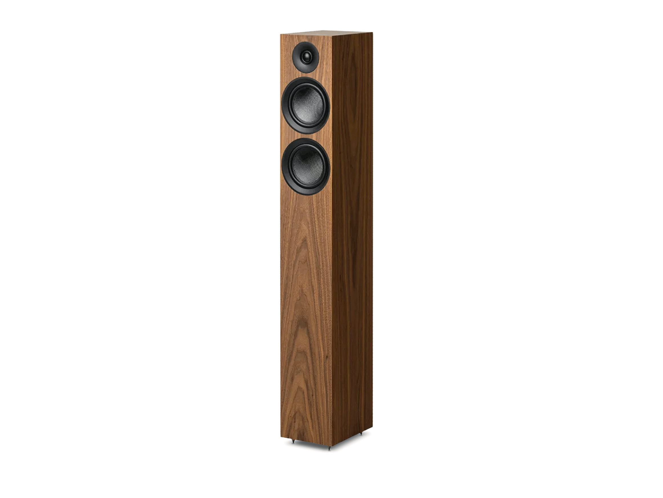 Speaker Box 12 E Carbon