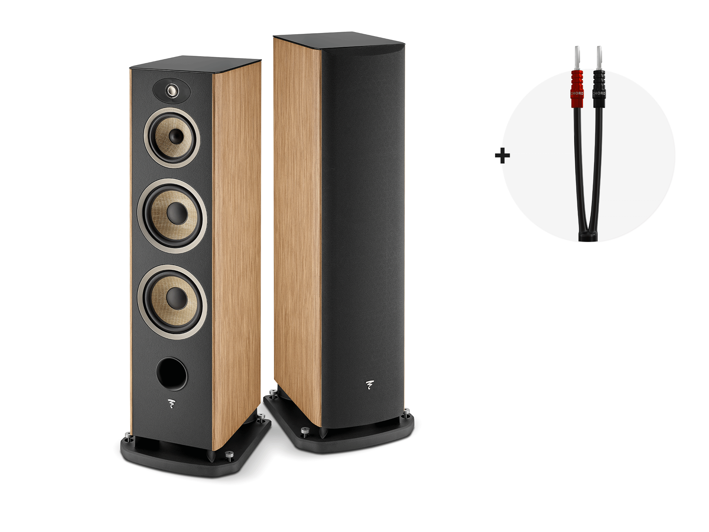 Aria Evo X No. 4 mit GRATIS Chord Company ShawlineX LS