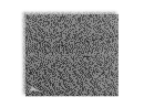 ZEN Next-Gen, Schwarz