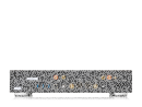 Zum Artikel HiFi Rose RS451 gehen