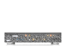 RS451