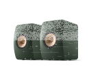 LS50 Wireless II, Moss Green