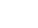 netPlayer (gebraucht)