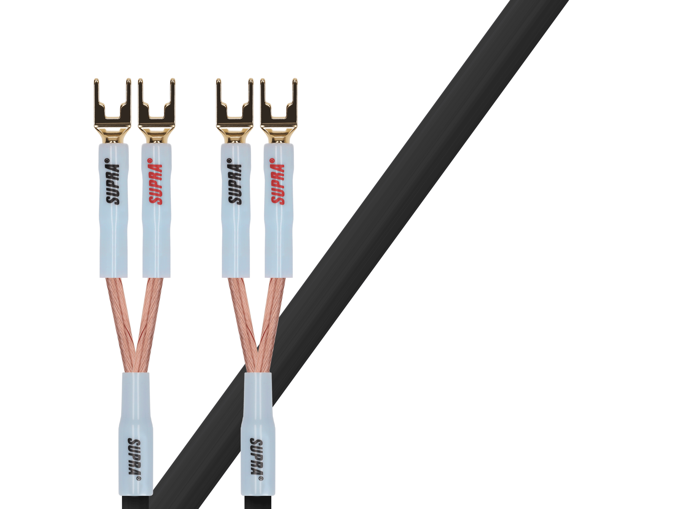 XL Annorum LS Single-Wire Schwarz