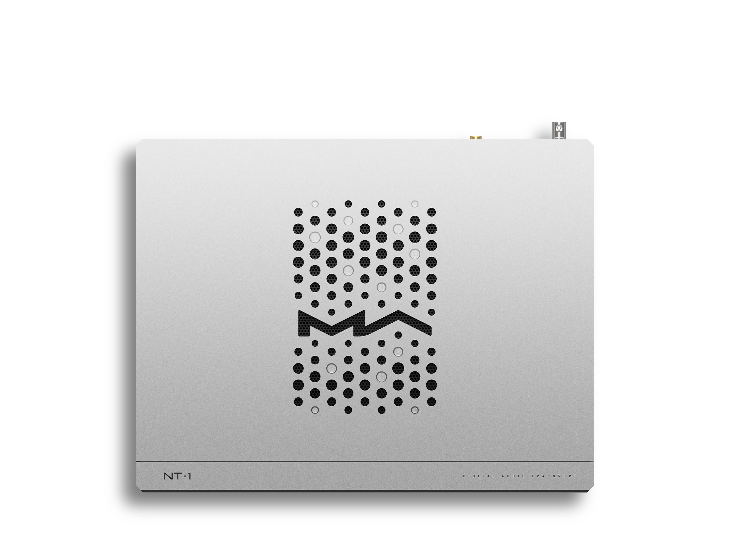 NT-1