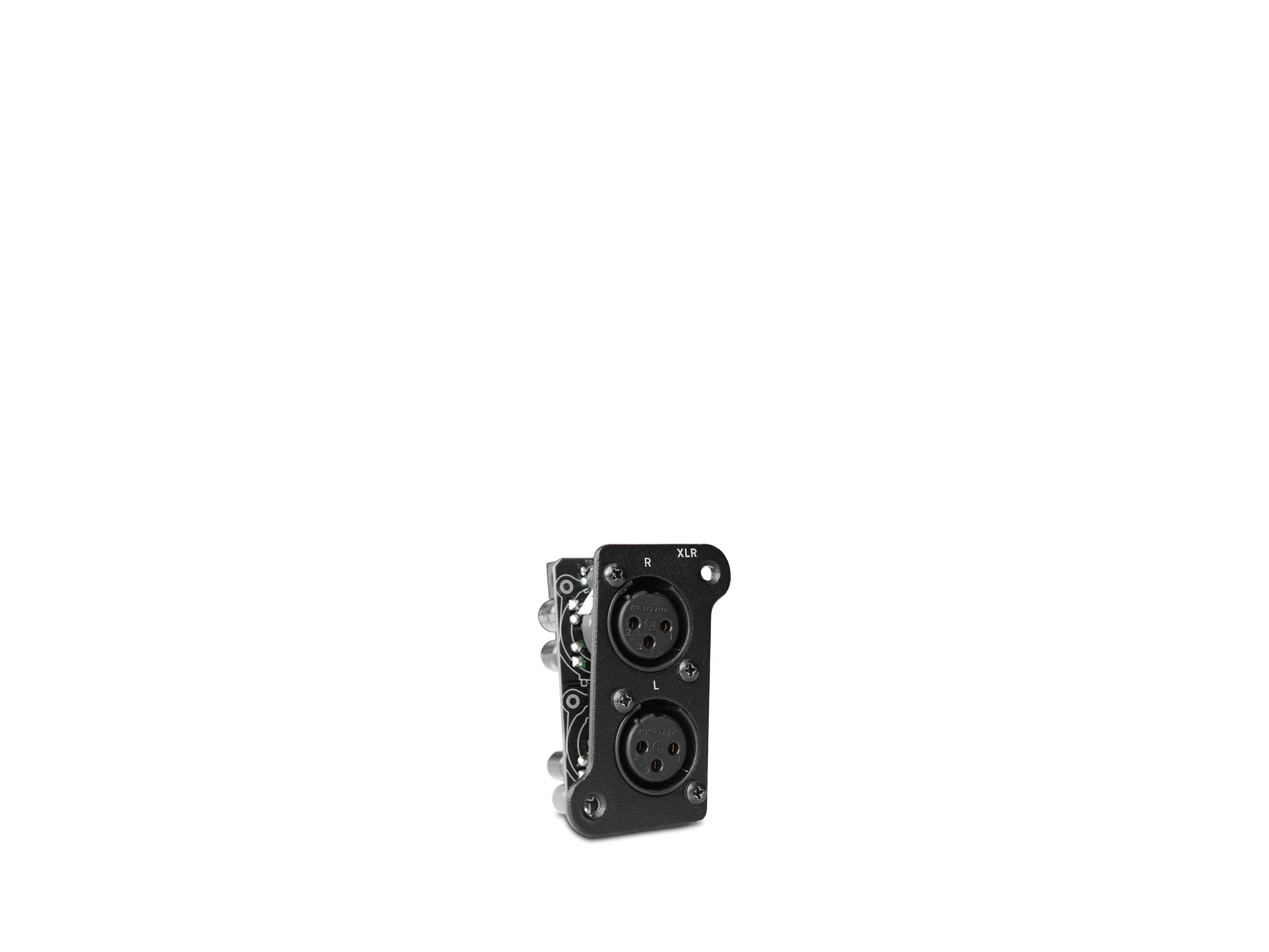 XLR Modul