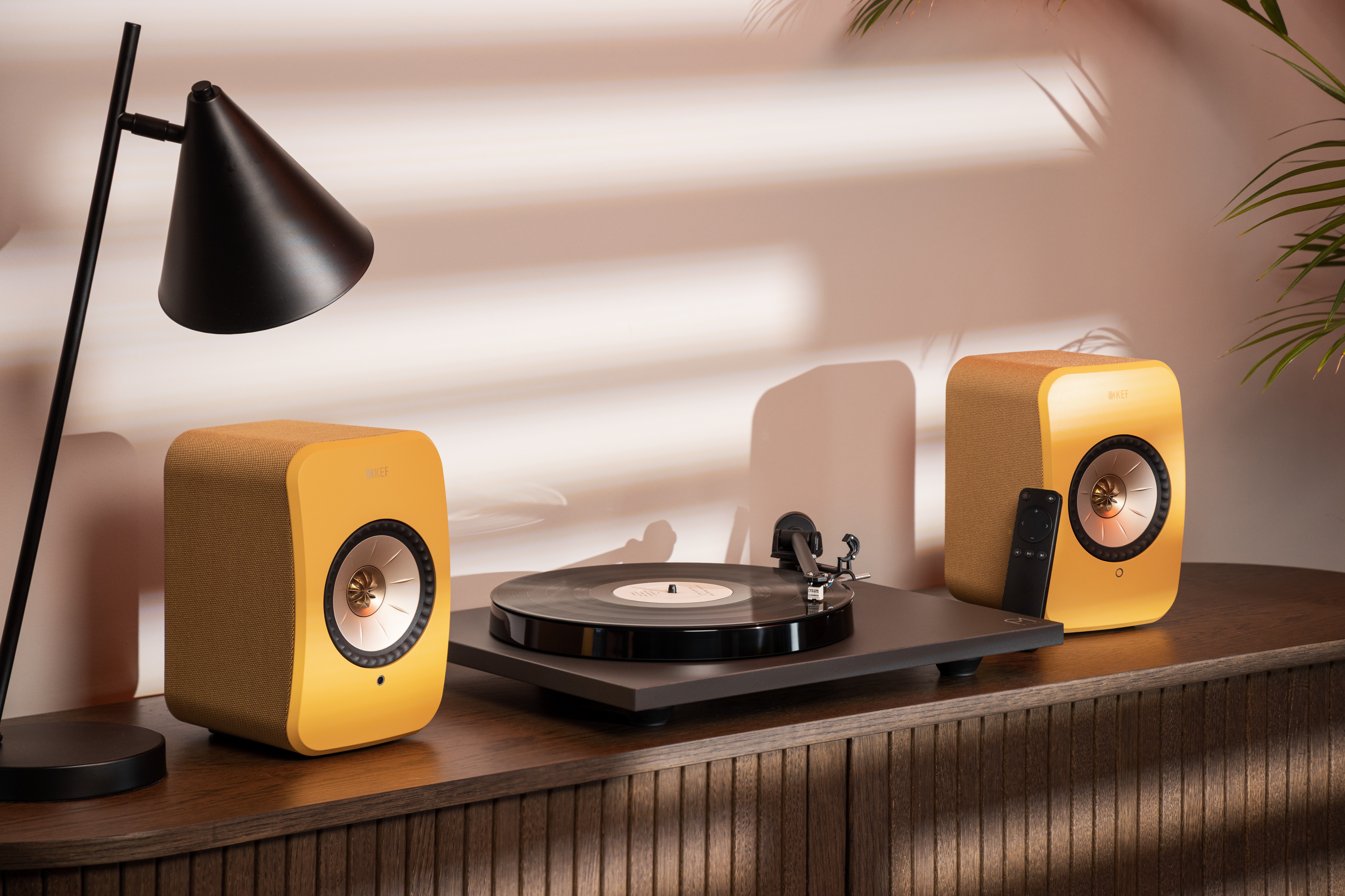 Vinyl-Set für Aufsteiger
