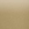 Champagne Gold